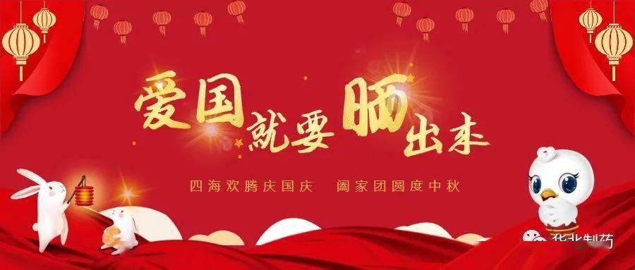 营救小猫头鹰