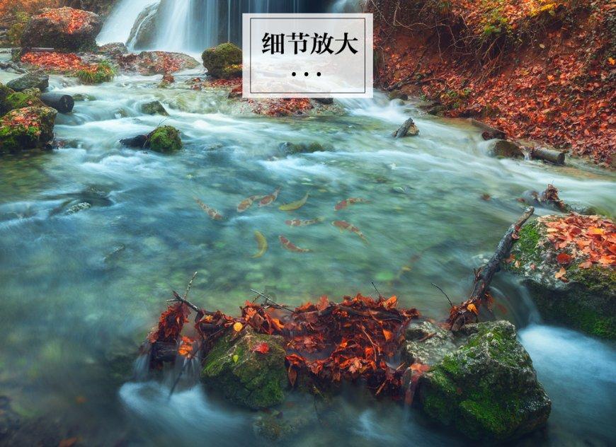 脱逃者：行尸走肉