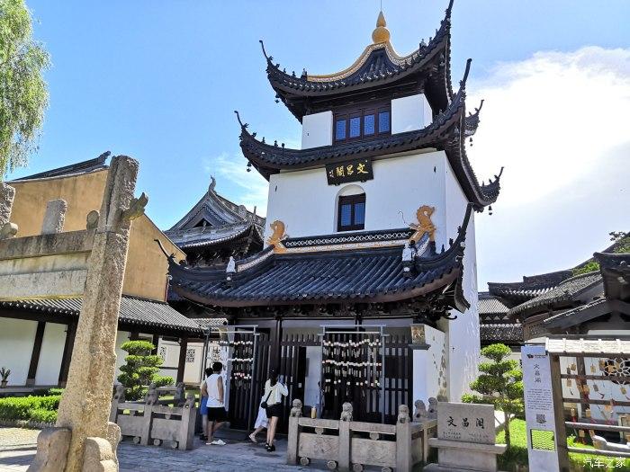 逃离变色龙森林